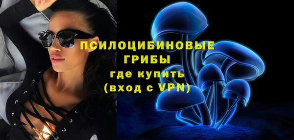 шишки Инсар