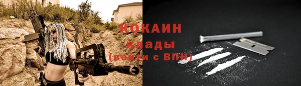 каннабис Инта