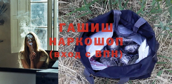 шишки Инсар