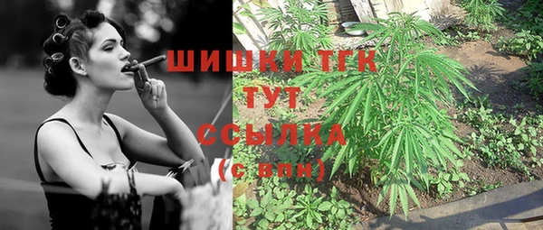 каннабис Инта