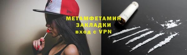 шишки Инсар