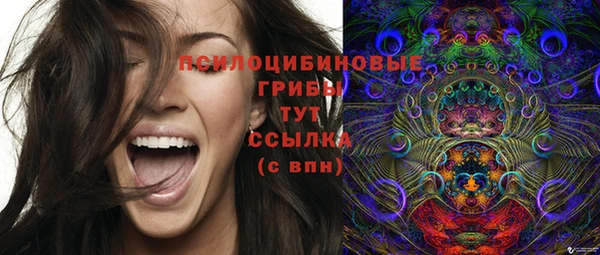 каннабис Инта
