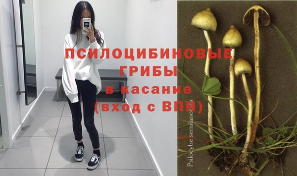 шишки Инсар