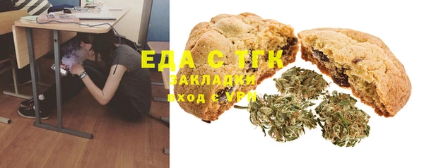шишки Инсар