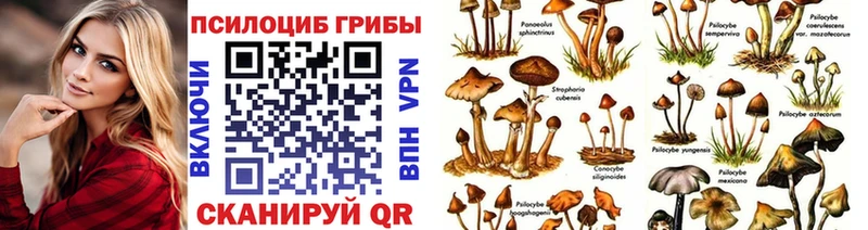 Купить закладки  Городовиковск  Галлюциногенные грибы Psilocybine cubensis 