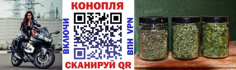 Марихуана Amnesia  Купить  Городовиковск 